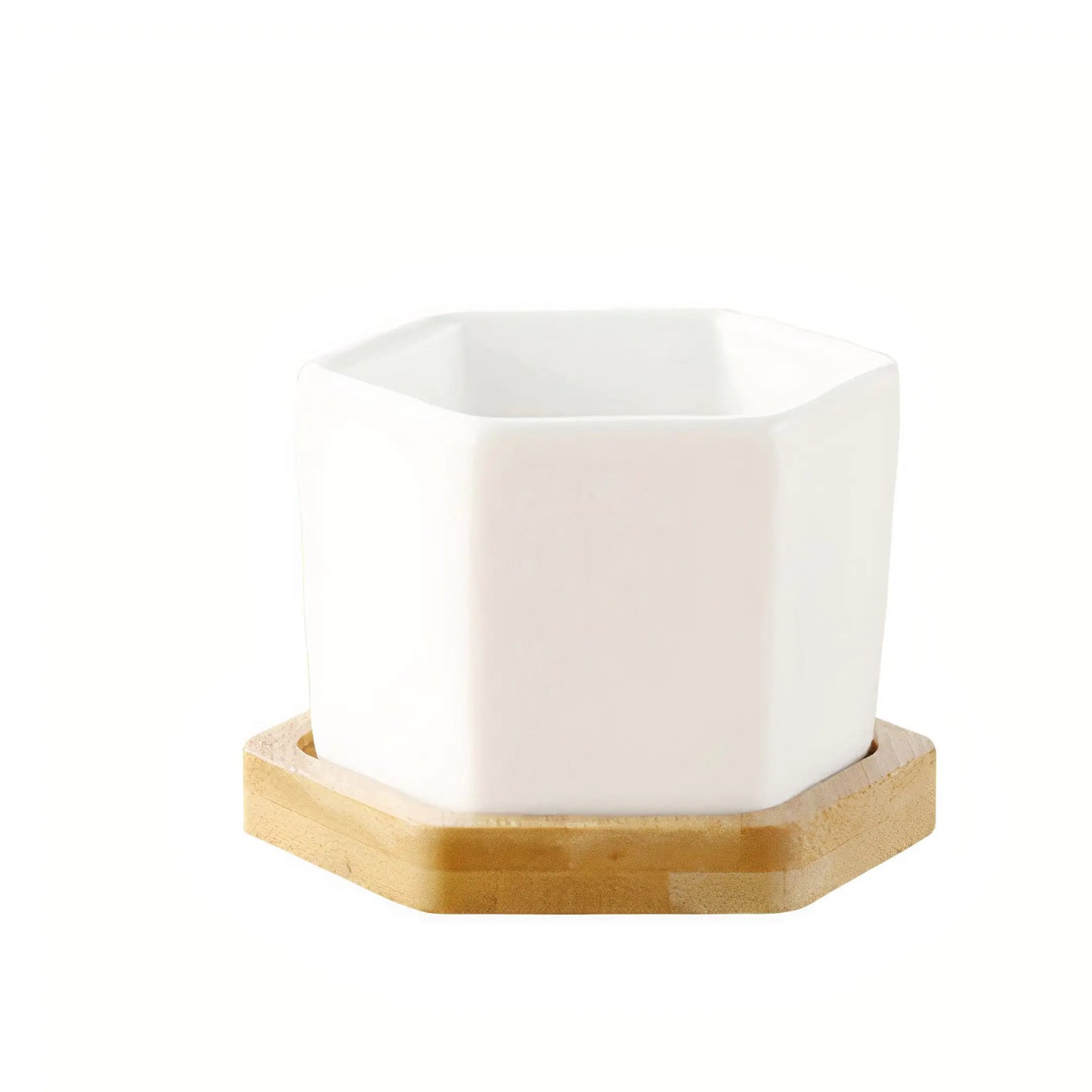 Message in a Planter - 4" Set of 3