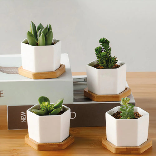 Stylish Planter
