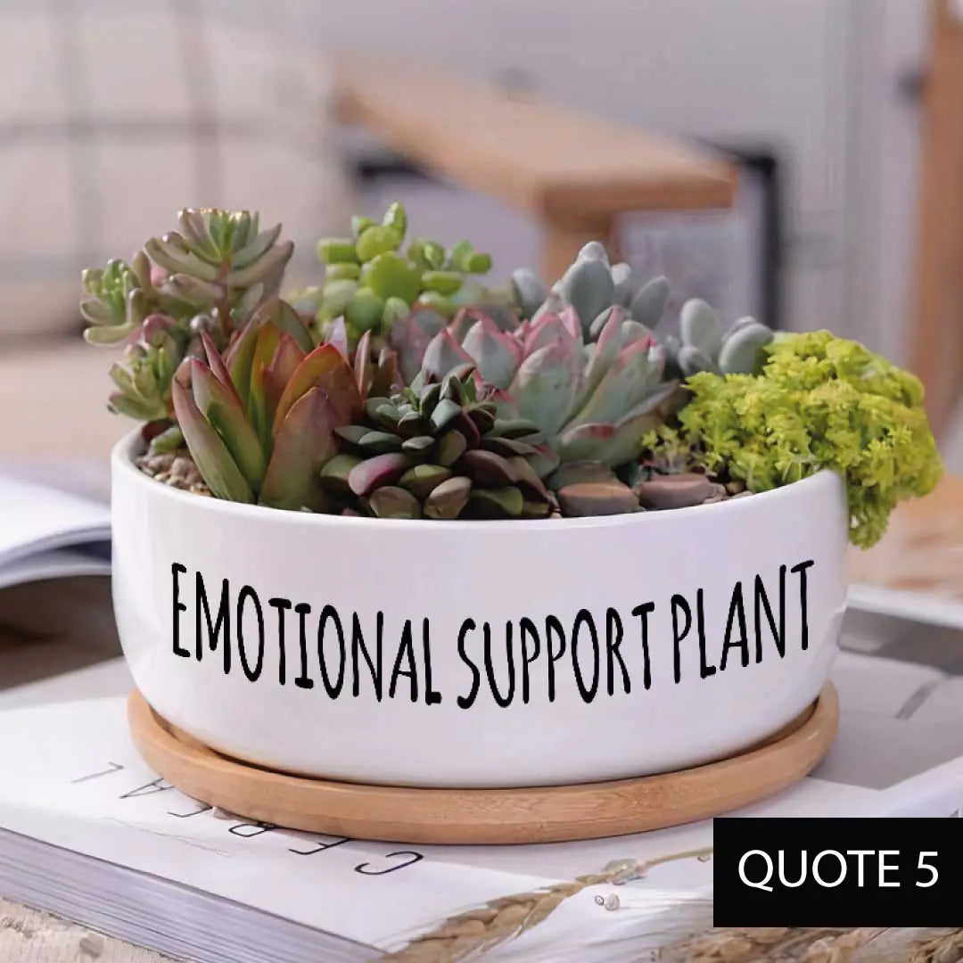 Message in a Planter - 6